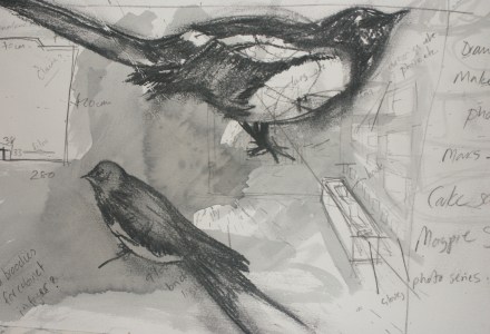 paper, drawing, birds