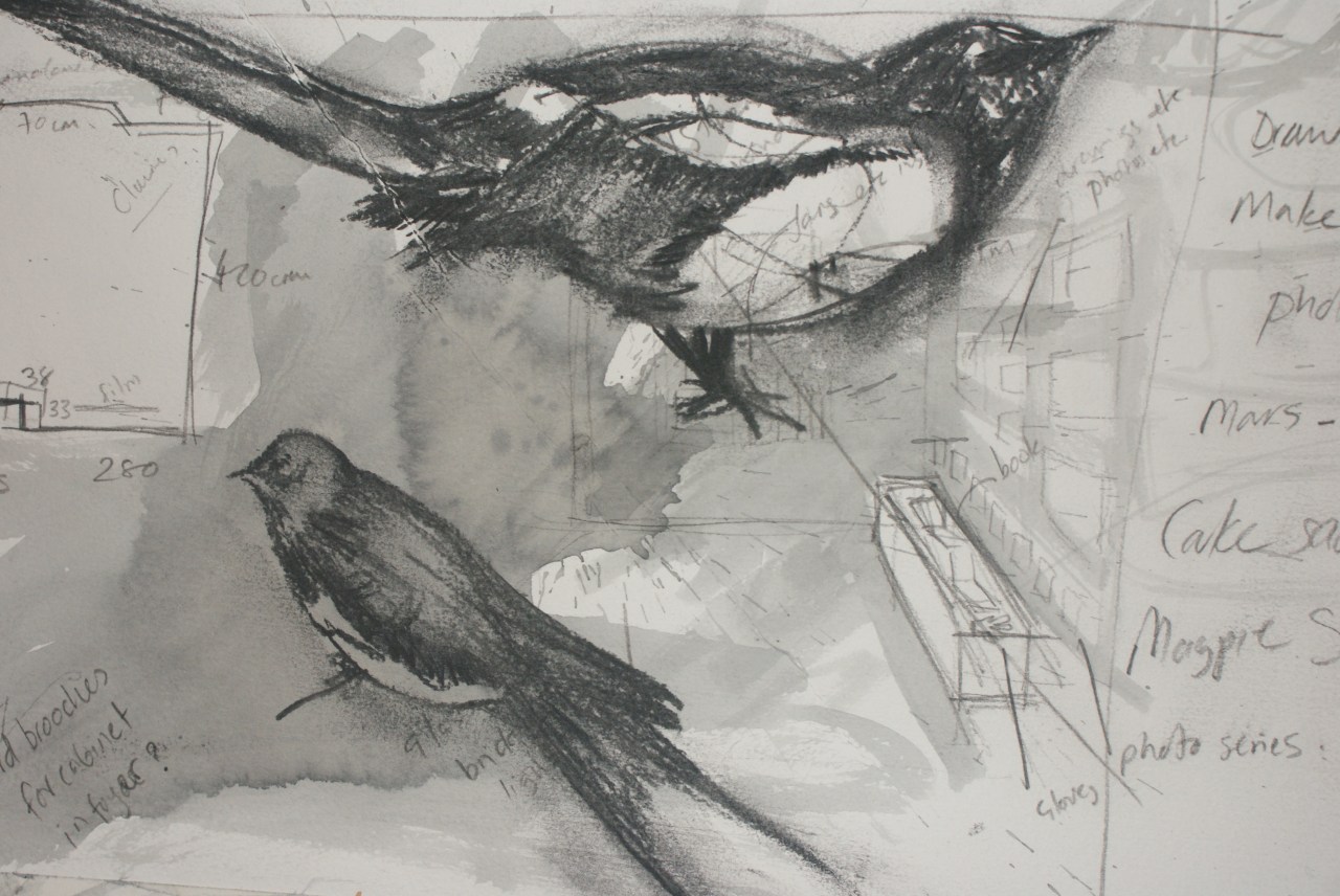 paper, drawing, birds