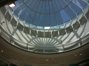 how did it take me so long to notice you?